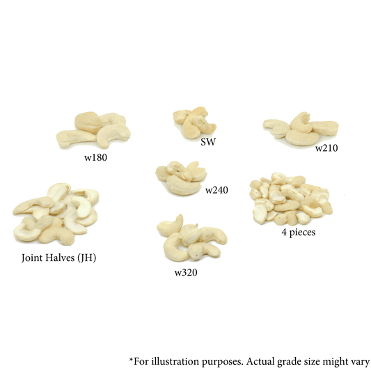 Anandhiya Cashews Sample Cashew Samples (for B2B)